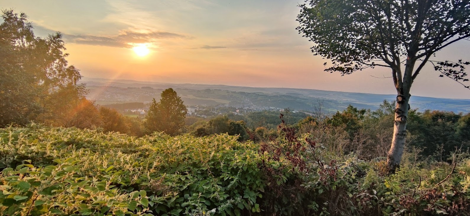 Blick vom Pöhlberg über Annaberg-Buchholz, 26. September 2021
