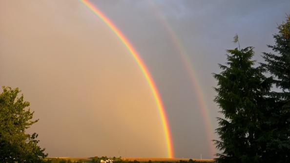 Regenbogen - Der Bund Gottes